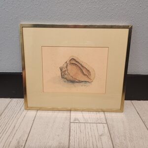 Framed Watercolor Seashell Print Signed D Morgan Conch On The Beach